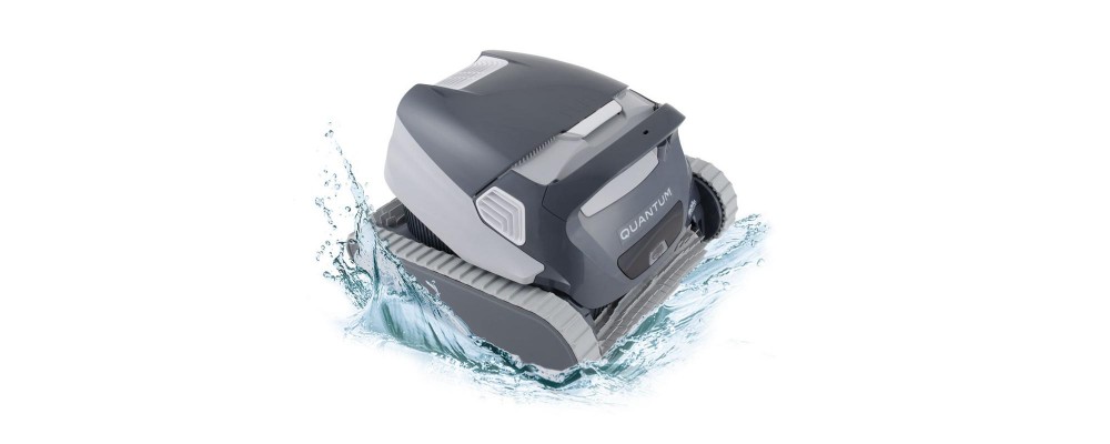 Dolphin Quantum review Dolphin Quantum review