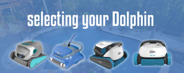 How to select your Dolphin