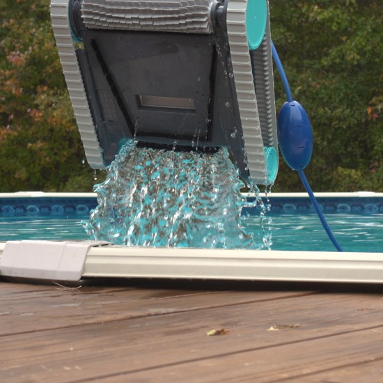 Dolphin Active 10 Certified Refurbished Dolphin Active 10 Certified Refurbished