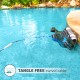 Dolphin Nautilus CC Supreme Certified Refurbished Dolphin Nautilus CC Supreme Certified Refurbished