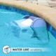 Dolphin Proteus DX4 Certified Refurbished Dolphin Proteus DX4 Certified Refurbished