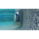 Dolphin S200 Certified Refurbished Dolphin S200 Certified Refurbished