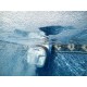Dolphin S300 Certified Refurbished Dolphin S300 Certified Refurbished
