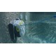 Dolphin T35 Certified Refurbished Dolphin T35 Certified Refurbished
