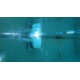 Dolphin T35 Certified Refurbished Dolphin T35 Certified Refurbished