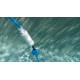 Dolphin T45 Certified Refurbished Dolphin T45 Certified Refurbished