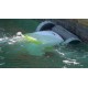 Dolphin T45 Certified Refurbished Dolphin T45 Certified Refurbished