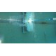 Dolphin T55i Certified Refurbished Dolphin T55i Certified Refurbished