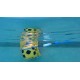 Dolphin Wave 100 Certified Refurbished Dolphin Wave 100 Certified Refurbished