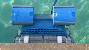 dolphin-m400-waterline-scrubbing