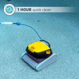 dolphin-triton-ps-plus-cleaning-time